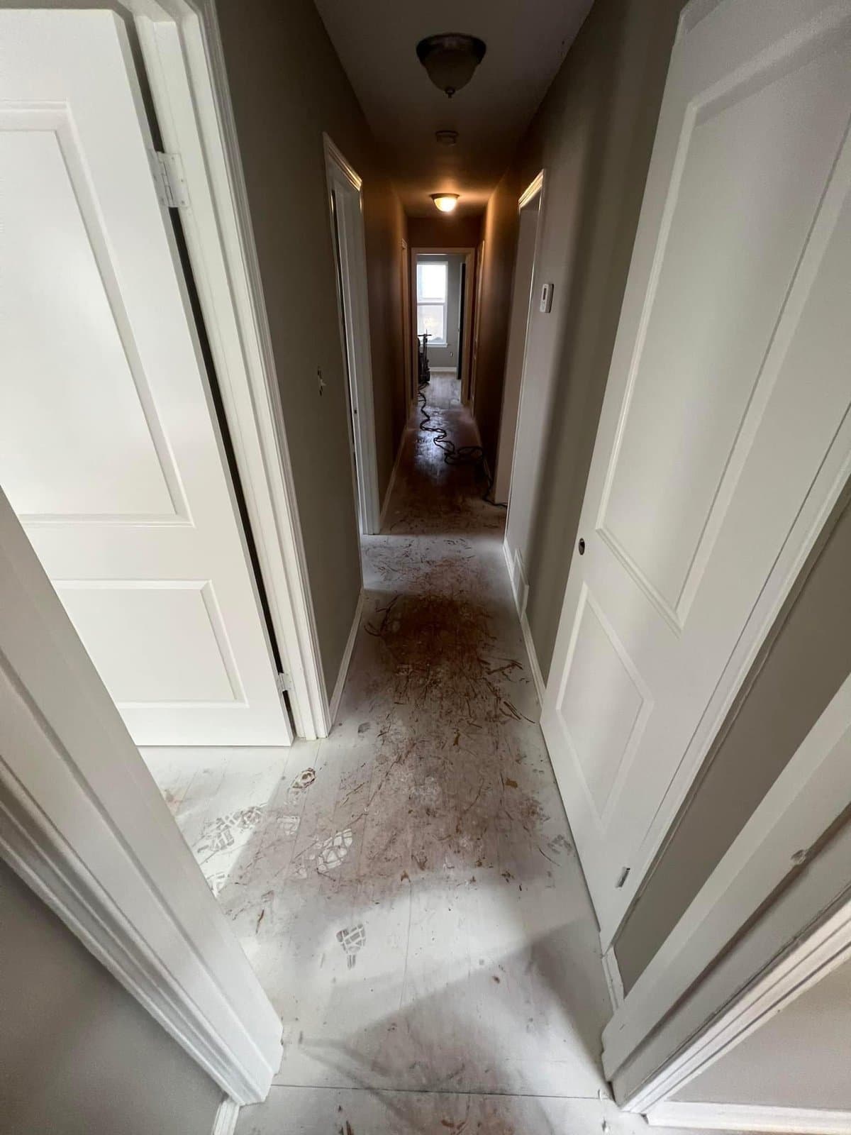 Hallway before — worn, dirty hardwood with paint splatter